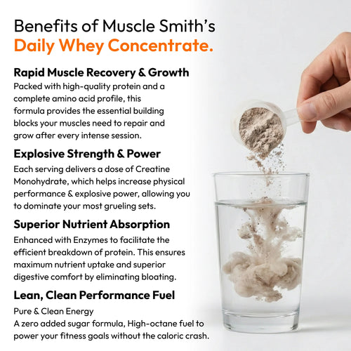 Muscle Smith Daily Whey Concentrate | 23g Protein with Digestive Enzymes